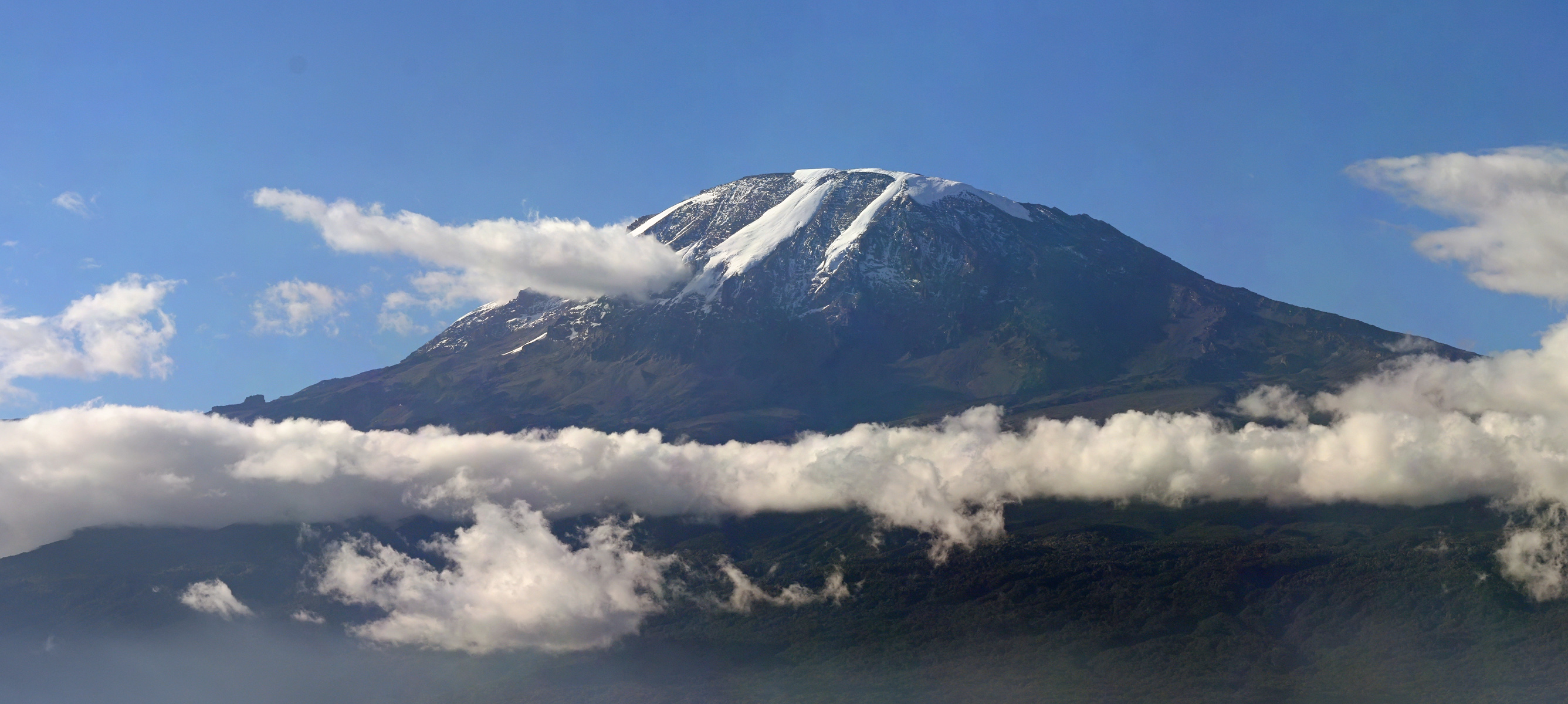 Image result for mount kilimanjaro